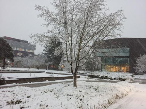 December snow